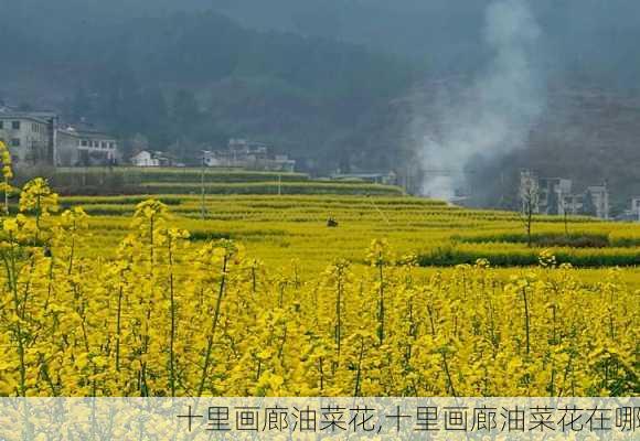 十里画廊油菜花,十里画廊油菜花在哪