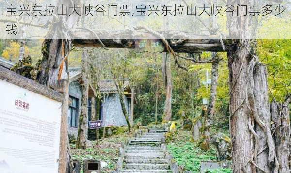 宝兴东拉山大峡谷门票,宝兴东拉山大峡谷门票多少钱