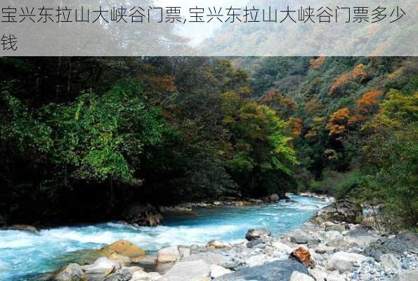 宝兴东拉山大峡谷门票,宝兴东拉山大峡谷门票多少钱