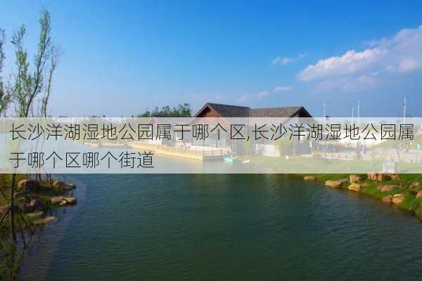 长沙洋湖湿地公园属于哪个区,长沙洋湖湿地公园属于哪个区哪个街道