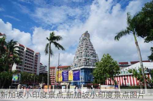 新加坡小印度景点,新加坡小印度景点图片