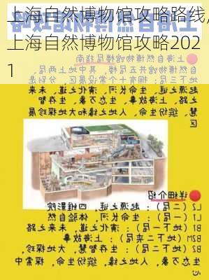 上海自然博物馆攻略路线,上海自然博物馆攻略2021