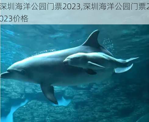 深圳海洋公园门票2023,深圳海洋公园门票2023价格