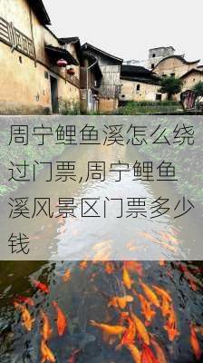 周宁鲤鱼溪怎么绕过门票,周宁鲤鱼溪风景区门票多少钱