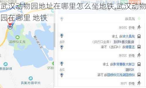 武汉动物园地址在哪里怎么坐地铁,武汉动物园在哪里 地铁