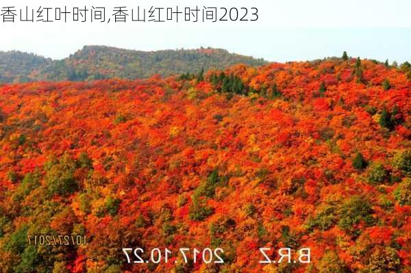 香山红叶时间,香山红叶时间2023