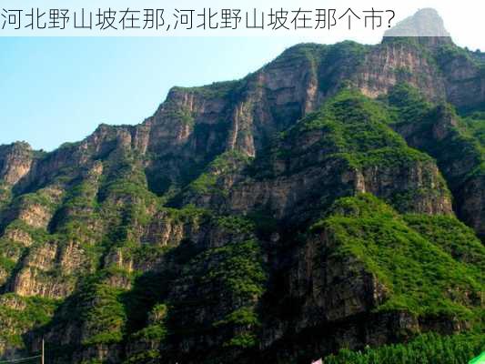 河北野山坡在那,河北野山坡在那个市?