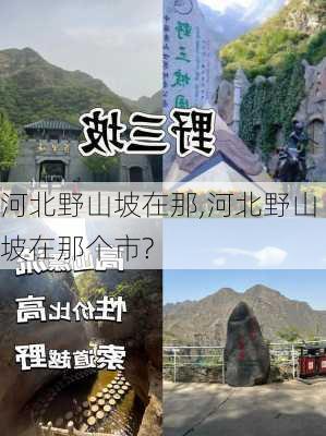 河北野山坡在那,河北野山坡在那个市?