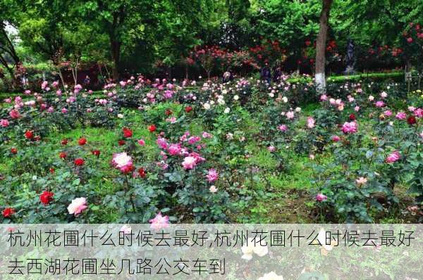 杭州花圃什么时候去最好,杭州花圃什么时候去最好去西湖花圃坐几路公交车到