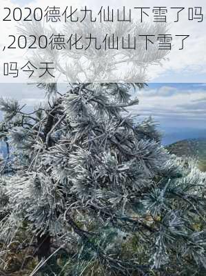 2020德化九仙山下雪了吗,2020德化九仙山下雪了吗今天