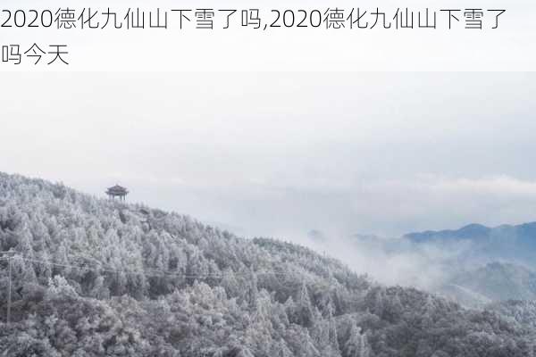 2020德化九仙山下雪了吗,2020德化九仙山下雪了吗今天