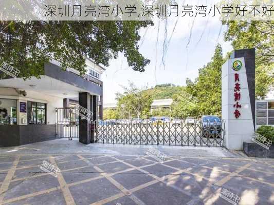 深圳月亮湾小学,深圳月亮湾小学好不好