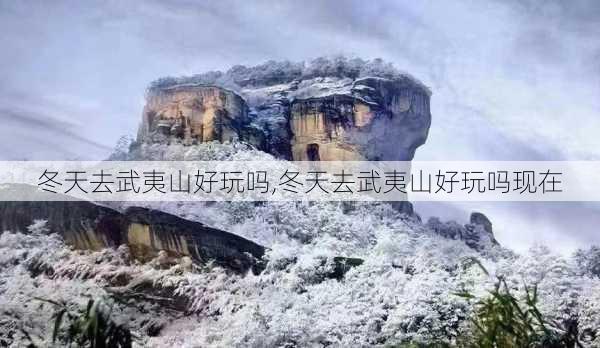 冬天去武夷山好玩吗,冬天去武夷山好玩吗现在