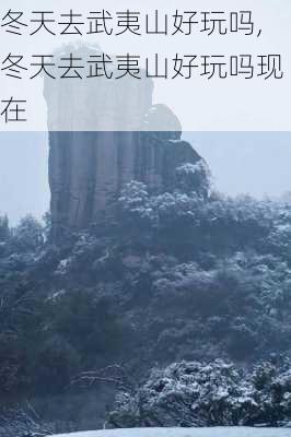 冬天去武夷山好玩吗,冬天去武夷山好玩吗现在