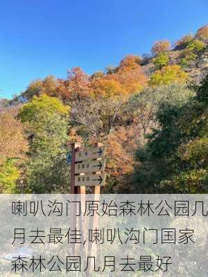 喇叭沟门原始森林公园几月去最佳,喇叭沟门国家森林公园几月去最好