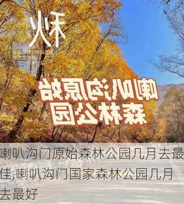 喇叭沟门原始森林公园几月去最佳,喇叭沟门国家森林公园几月去最好