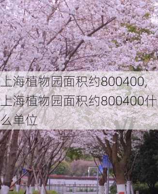 上海植物园面积约800400,上海植物园面积约800400什么单位