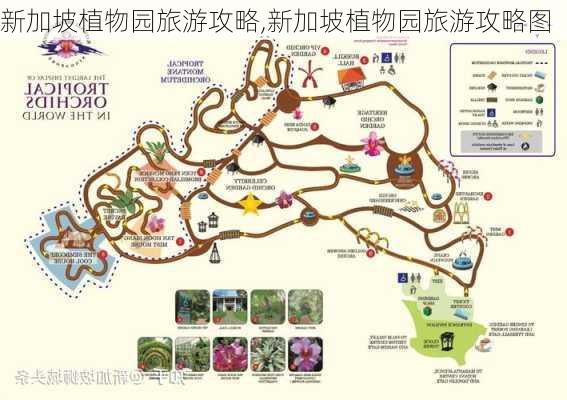 新加坡植物园旅游攻略,新加坡植物园旅游攻略图