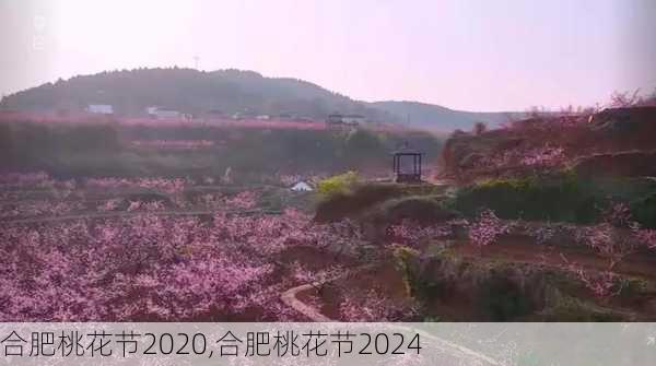 合肥桃花节2020,合肥桃花节2024