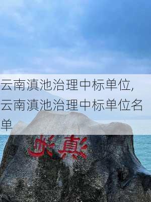 云南滇池治理中标单位,云南滇池治理中标单位名单