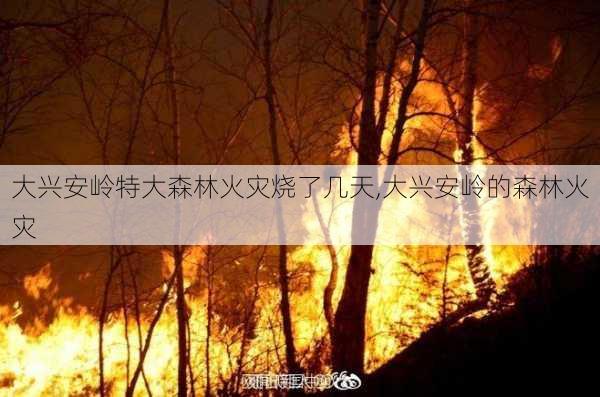 大兴安岭特大森林火灾烧了几天,大兴安岭的森林火灾