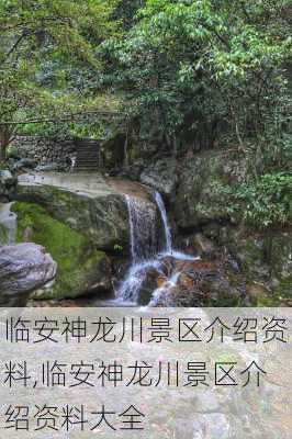 临安神龙川景区介绍资料,临安神龙川景区介绍资料大全