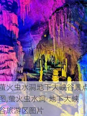 萤火虫水洞地下大峡谷景点图,萤火虫水洞·地下大峡谷旅游区图片