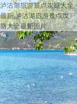 泸沽湖旅游景点攻略大全最新,泸沽湖旅游景点攻略大全最新图片