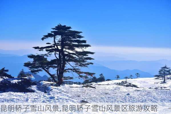 昆明轿子雪山风景,昆明轿子雪山风景区旅游攻略