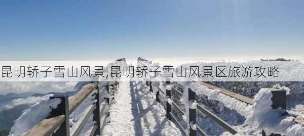 昆明轿子雪山风景,昆明轿子雪山风景区旅游攻略