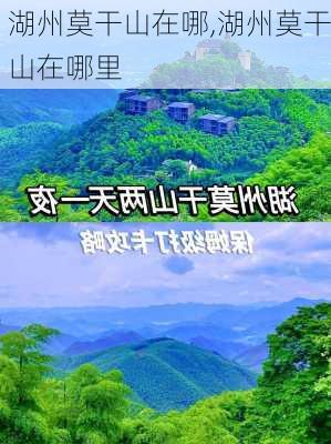 湖州莫干山在哪,湖州莫干山在哪里