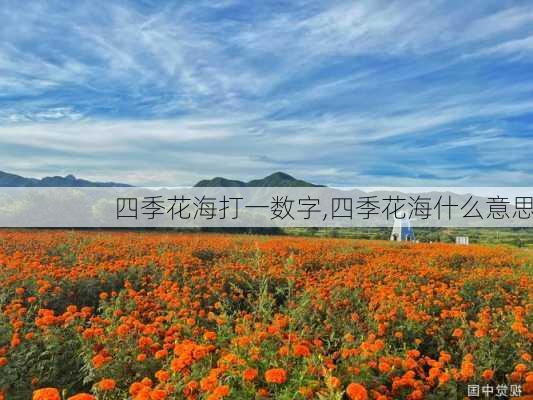 四季花海打一数字,四季花海什么意思