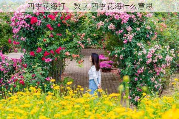 四季花海打一数字,四季花海什么意思