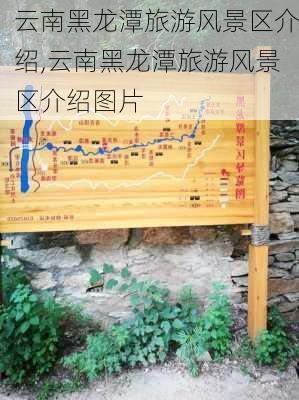 云南黑龙潭旅游风景区介绍,云南黑龙潭旅游风景区介绍图片