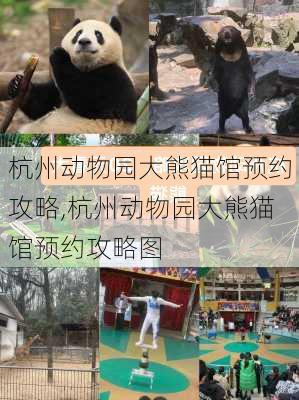 杭州动物园大熊猫馆预约攻略,杭州动物园大熊猫馆预约攻略图