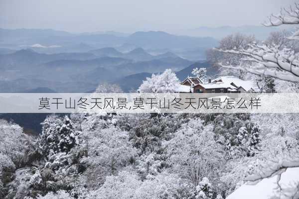 莫干山冬天风景,莫干山冬天风景怎么样