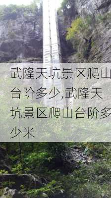 武隆天坑景区爬山台阶多少,武隆天坑景区爬山台阶多少米