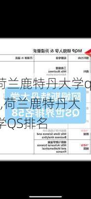 荷兰鹿特丹大学qs,荷兰鹿特丹大学QS排名