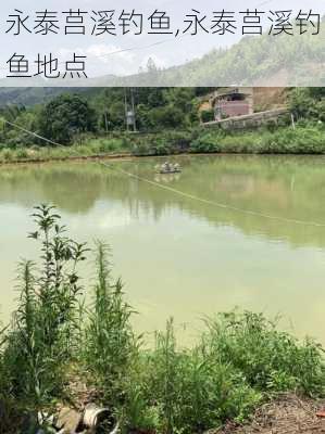 永泰莒溪钓鱼,永泰莒溪钓鱼地点