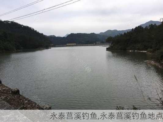 永泰莒溪钓鱼,永泰莒溪钓鱼地点