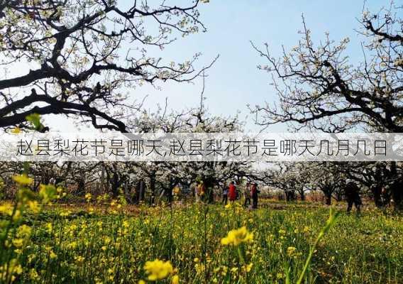 赵县梨花节是哪天,赵县梨花节是哪天几月几日