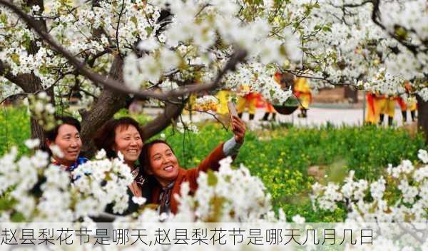 赵县梨花节是哪天,赵县梨花节是哪天几月几日