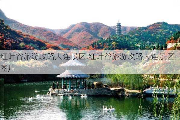 红叶谷旅游攻略大连景区,红叶谷旅游攻略大连景区图片