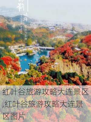 红叶谷旅游攻略大连景区,红叶谷旅游攻略大连景区图片