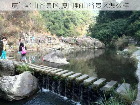 厦门野山谷景区,厦门野山谷景区怎么样