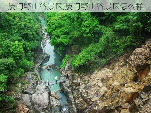 厦门野山谷景区,厦门野山谷景区怎么样