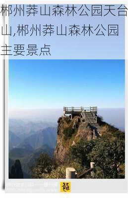 郴州莽山森林公园天台山,郴州莽山森林公园主要景点