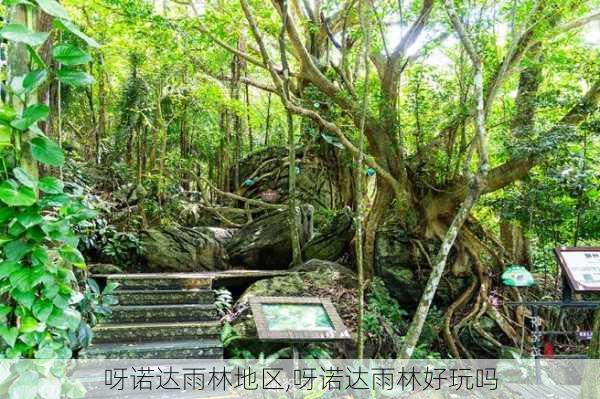 呀诺达雨林地区,呀诺达雨林好玩吗