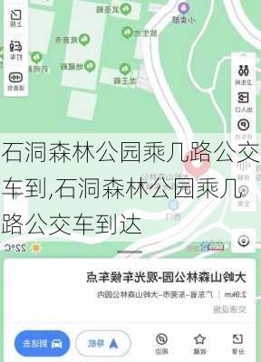 石洞森林公园乘几路公交车到,石洞森林公园乘几路公交车到达