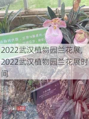 2022武汉植物园兰花展,2022武汉植物园兰花展时间